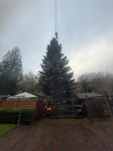 whv_weihnachtsbaum05