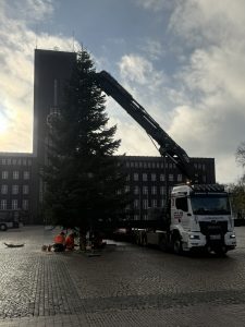 whv_weihnachtsbaum11
