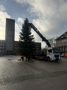whv_weihnachtsbaum12